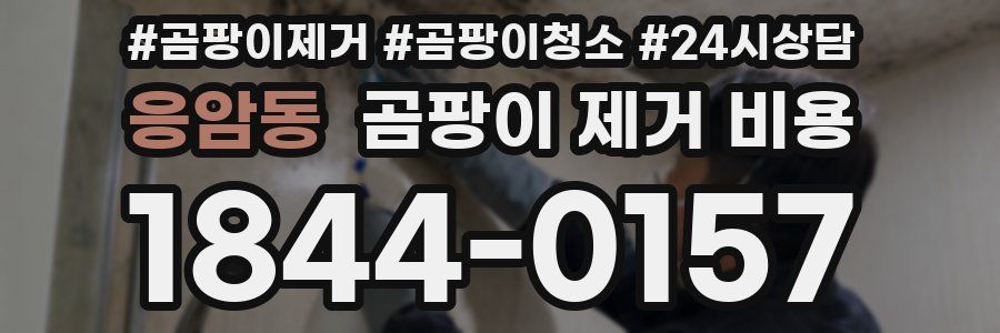 응암동 곰팡이 제거 비용