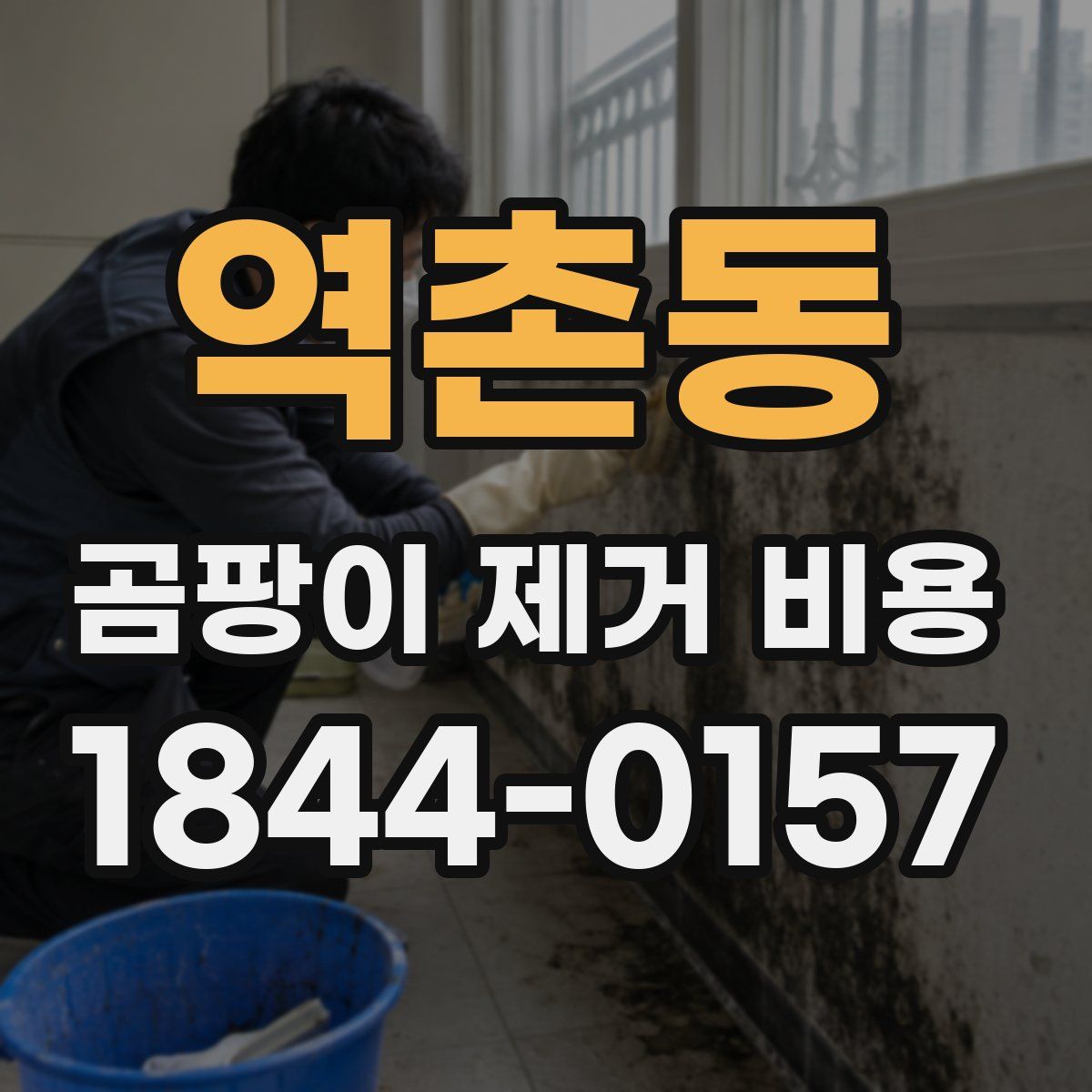 역촌동 곰팡이 제거 비용