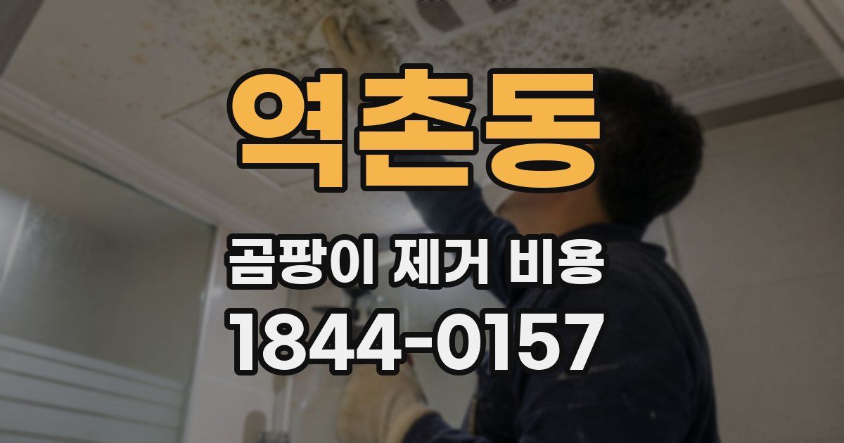 역촌동 곰팡이 제거 비용