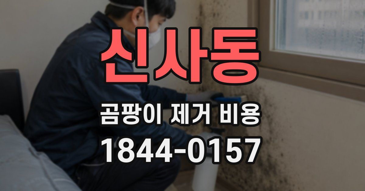 신사동 곰팡이 제거 비용
