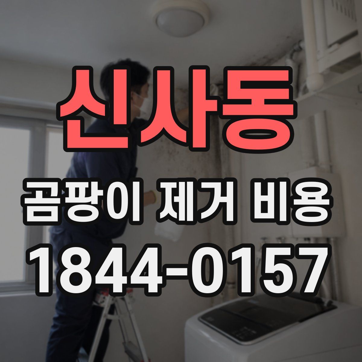 신사동 곰팡이 제거 비용