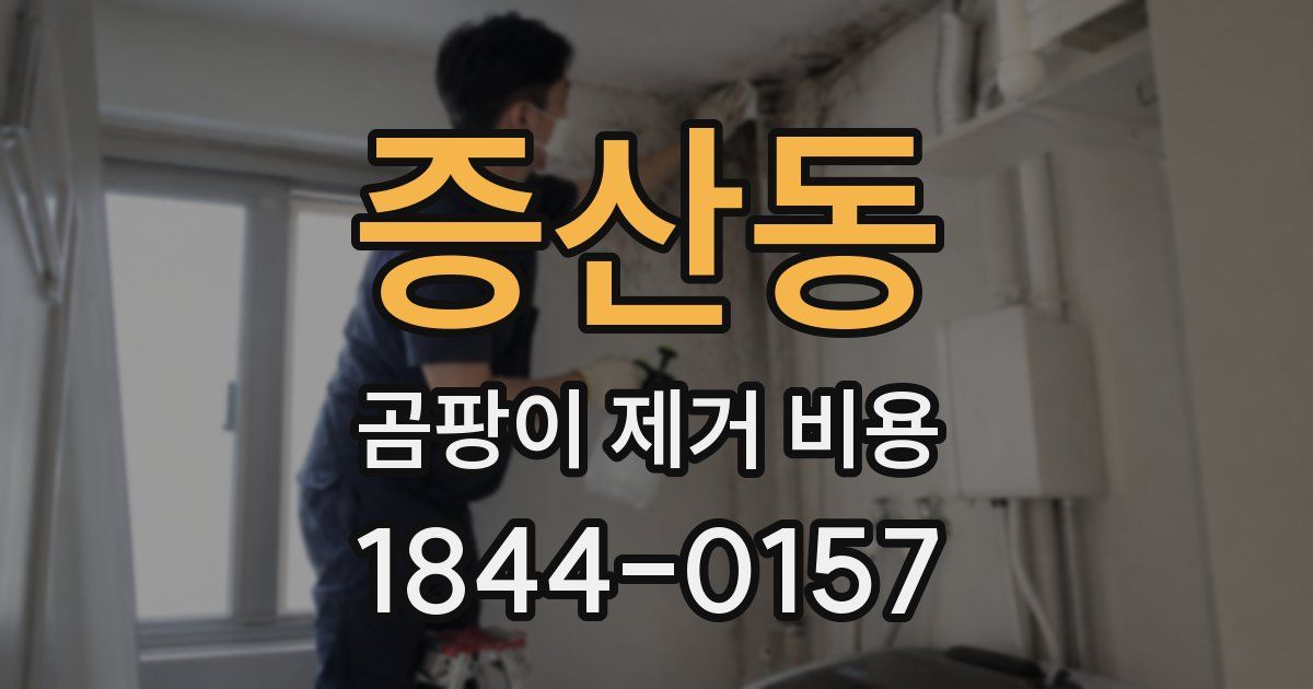 증산동 곰팡이 제거 비용