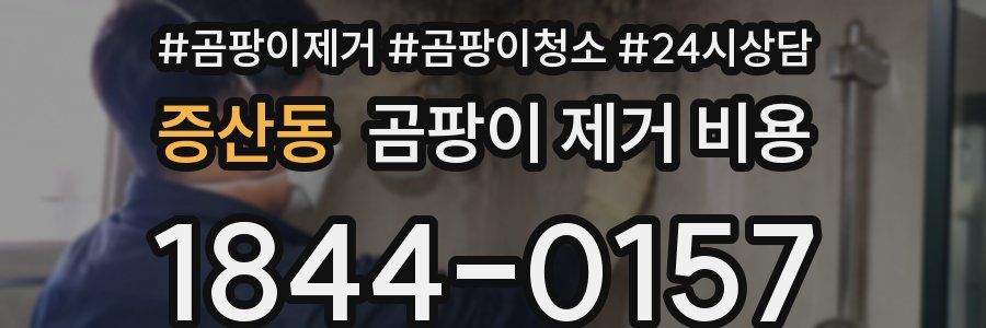 증산동 곰팡이 제거 비용