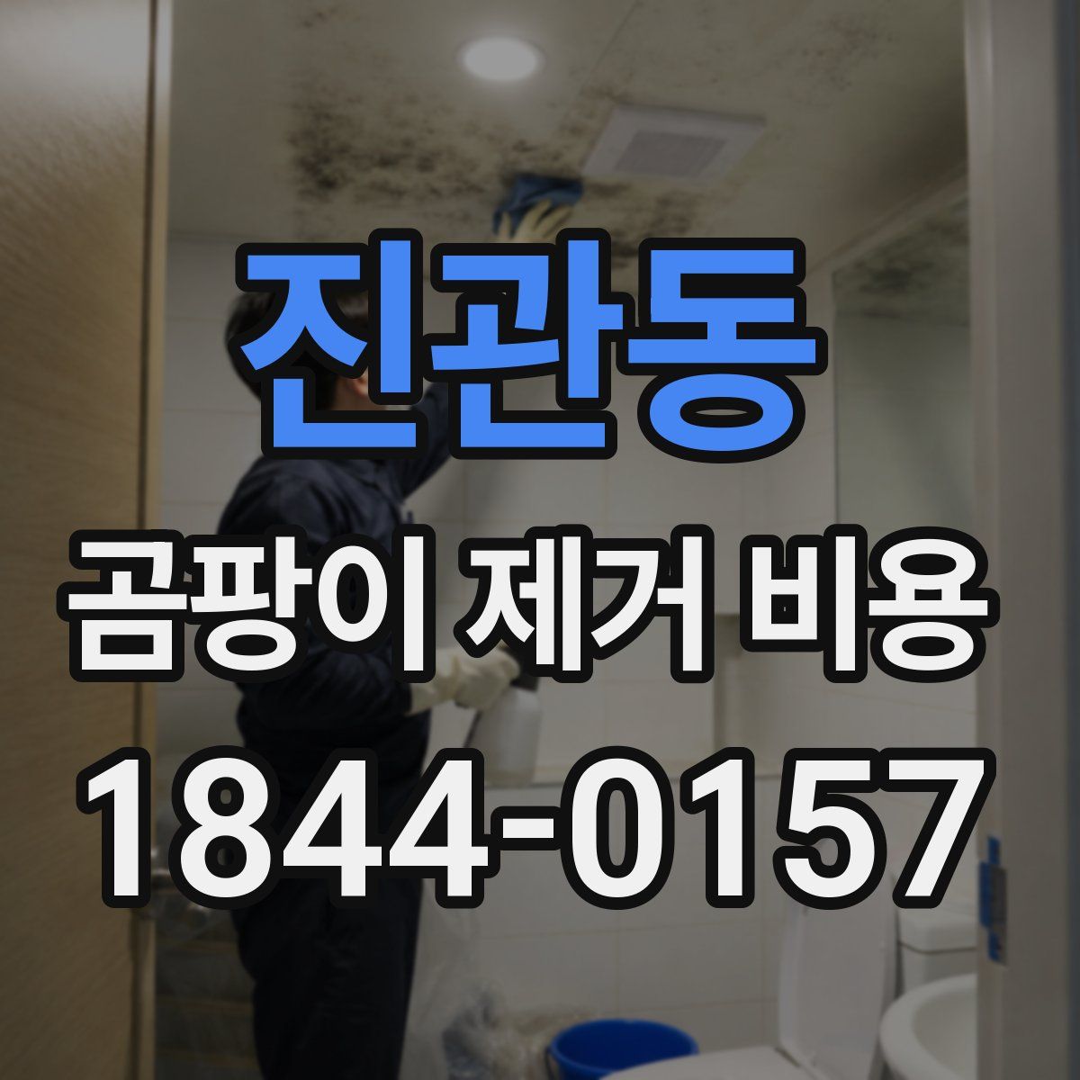 진관동 곰팡이 제거 비용