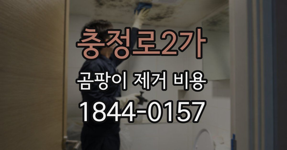충정로2가 곰팡이 제거 비용