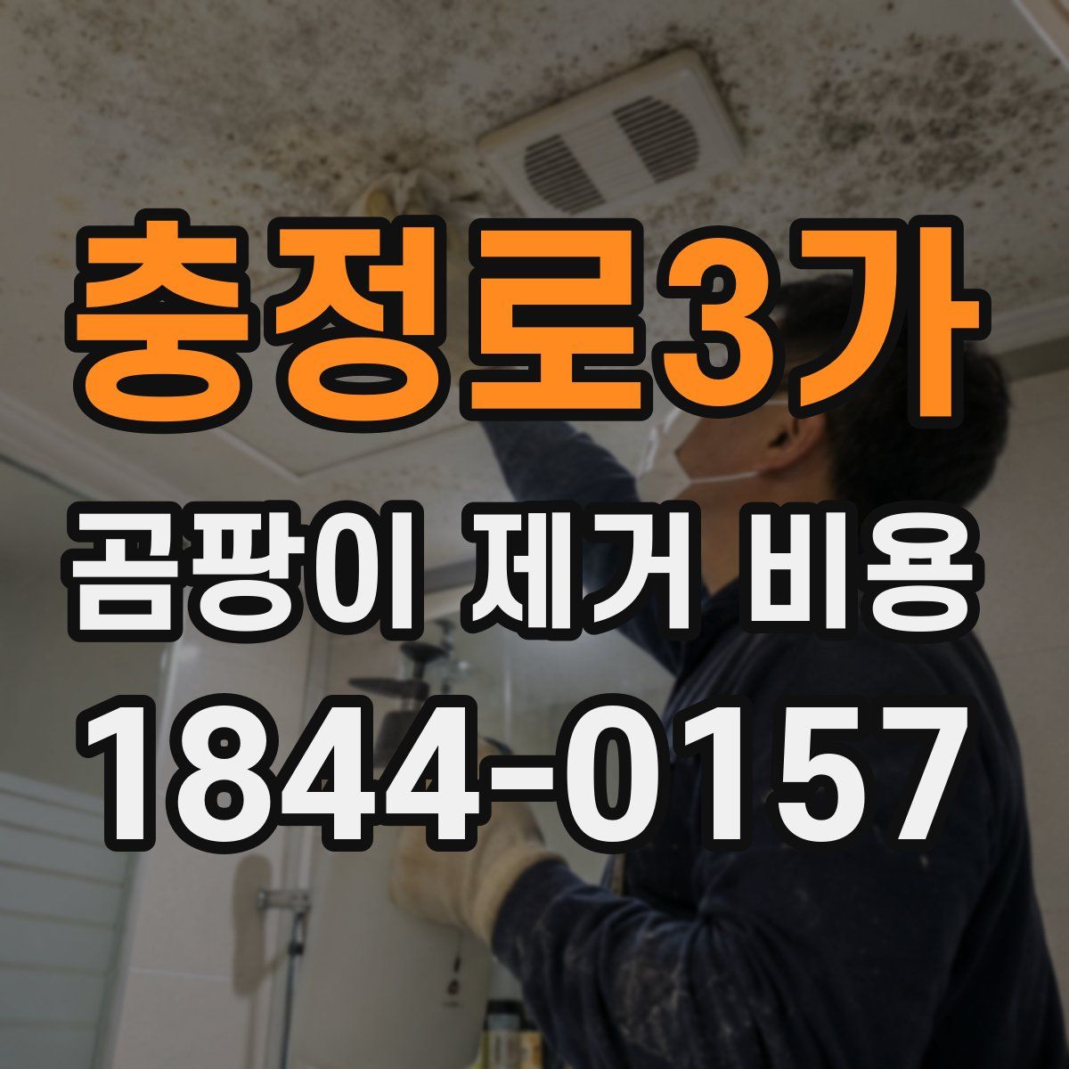 충정로3가 곰팡이 제거 비용