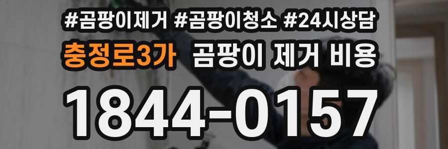 충정로3가 곰팡이 제거 비용