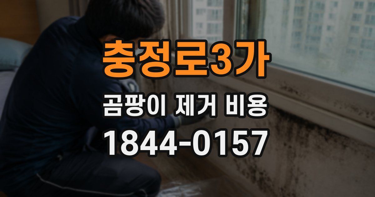 충정로3가 곰팡이 제거 비용