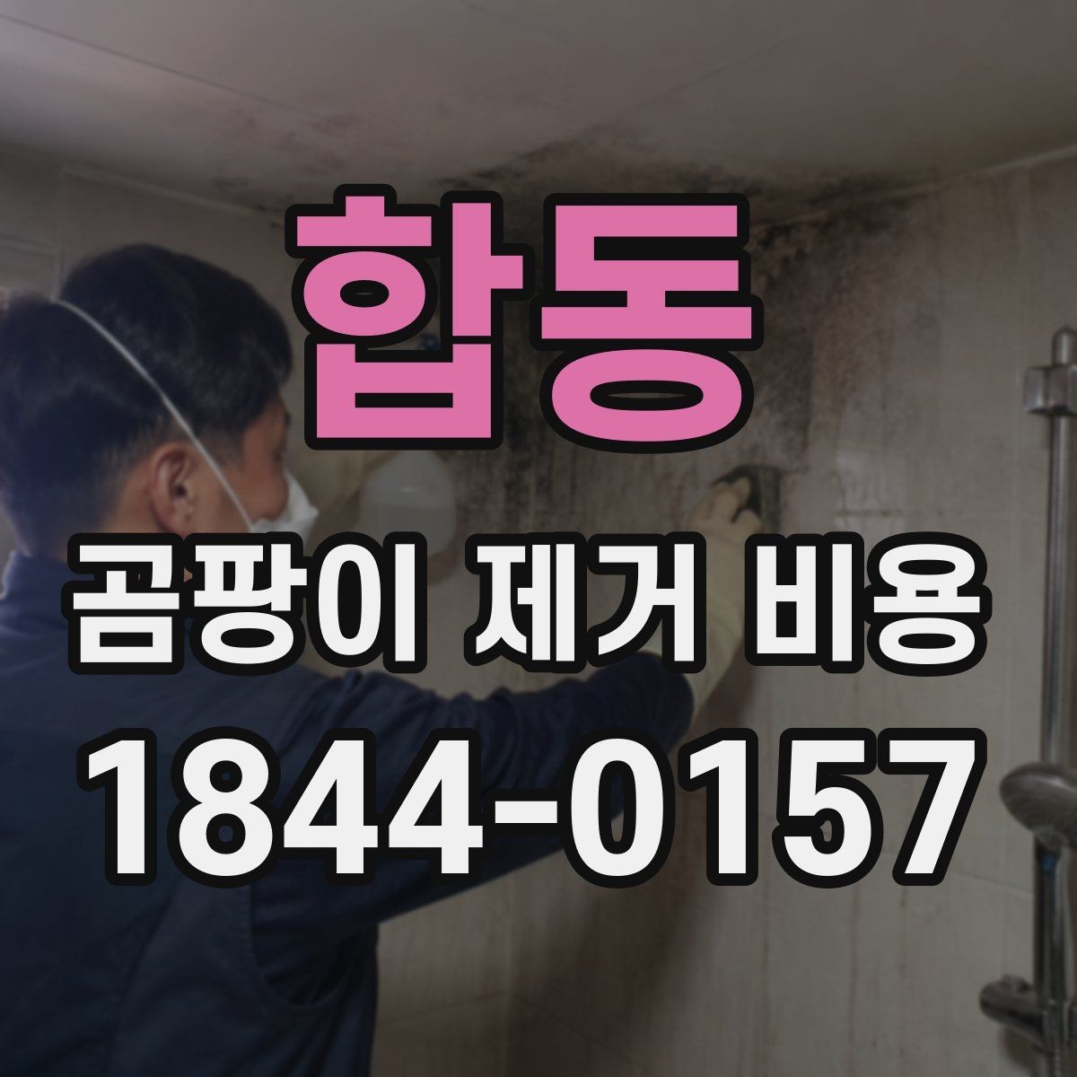 합동 곰팡이 제거 비용 마감재 교체가 필요한 상황은 언제일까