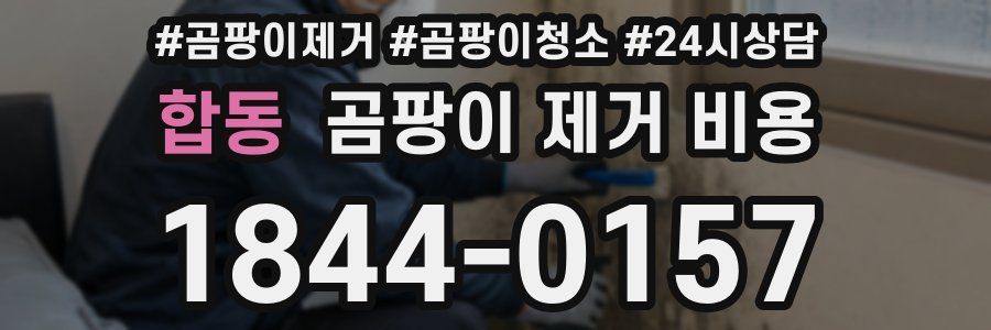 합동 곰팡이 제거 비용