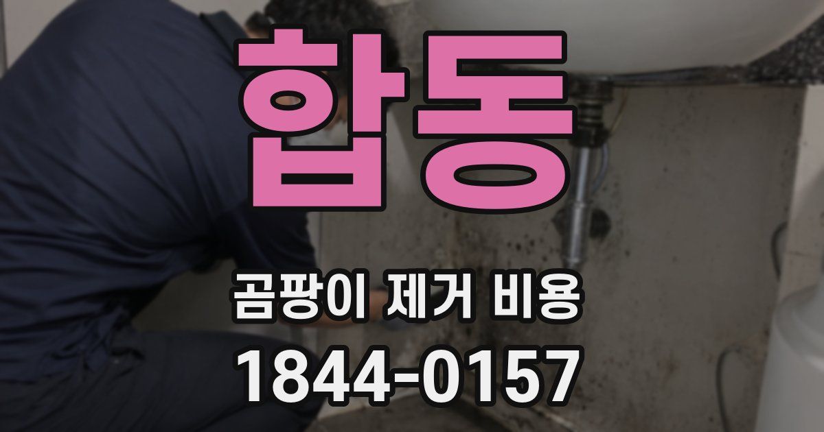 합동 곰팡이 제거 비용