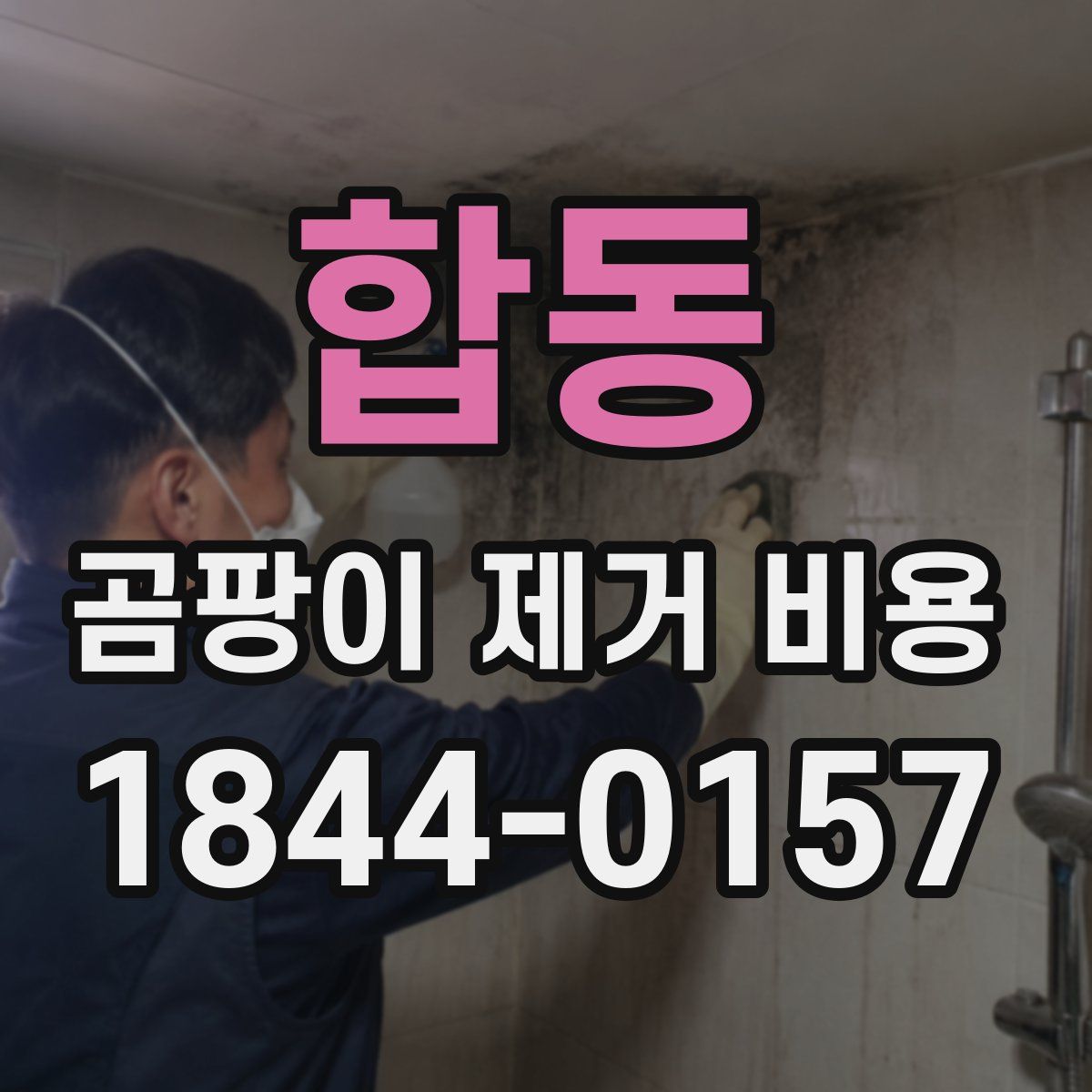 합동 곰팡이 제거 비용