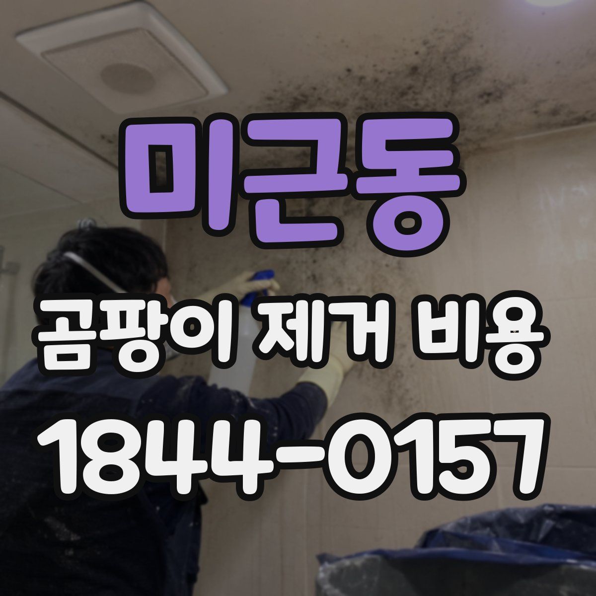 미근동 곰팡이 제거 비용
