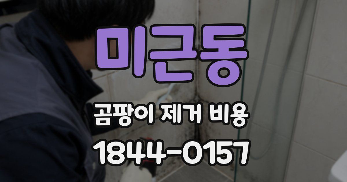 미근동 곰팡이 제거 비용