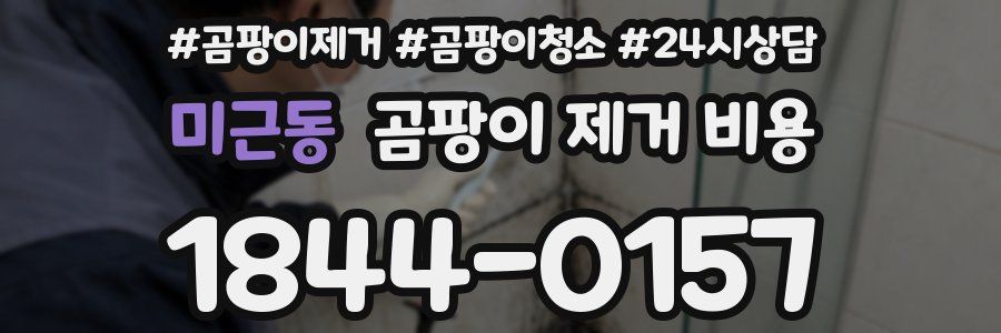미근동 곰팡이 제거 비용