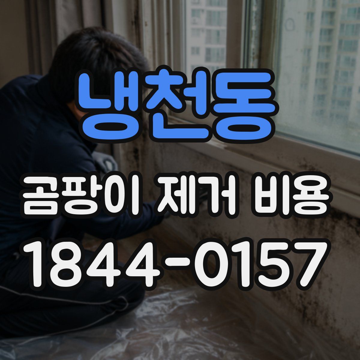 냉천동 곰팡이 제거 비용