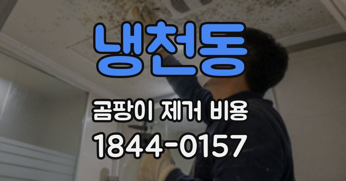 냉천동 곰팡이 제거 비용