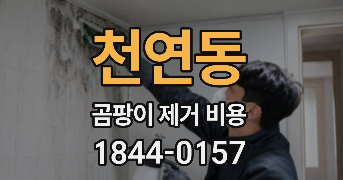 천연동 곰팡이 제거 비용