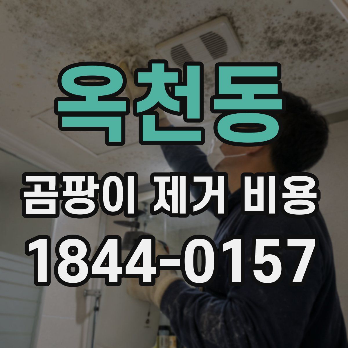 옥천동 곰팡이 제거 비용