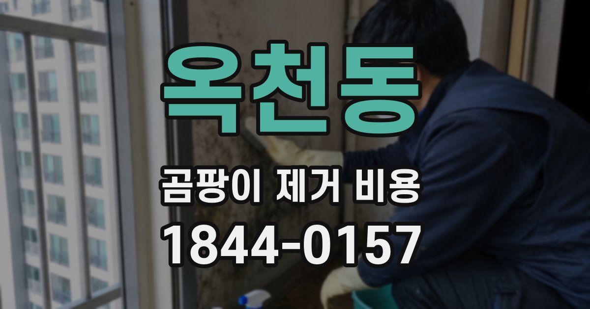 옥천동 곰팡이 제거 비용