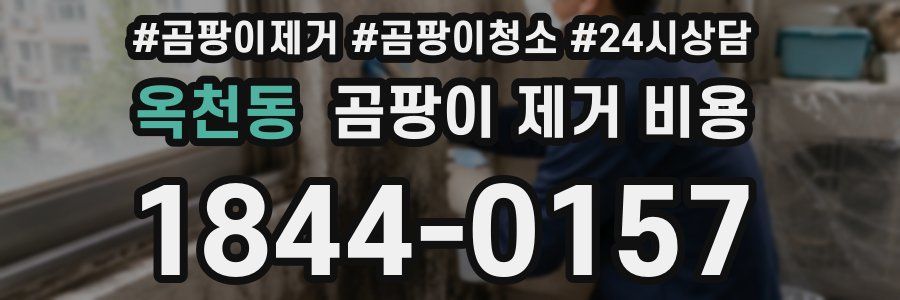 옥천동 곰팡이 제거 비용