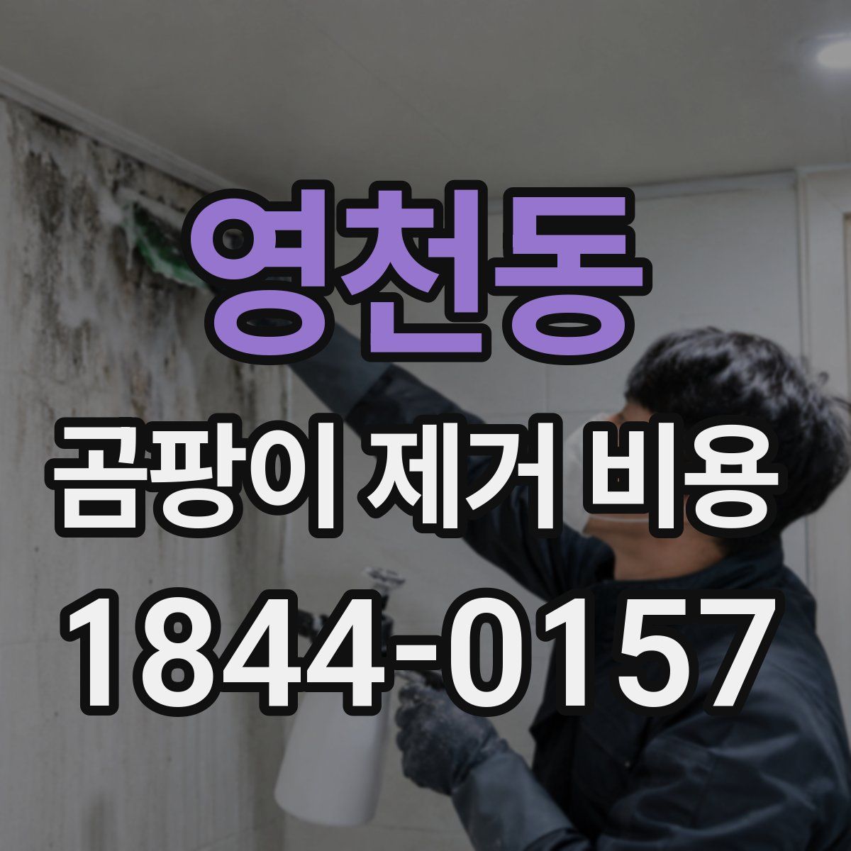영천동 곰팡이 제거 비용