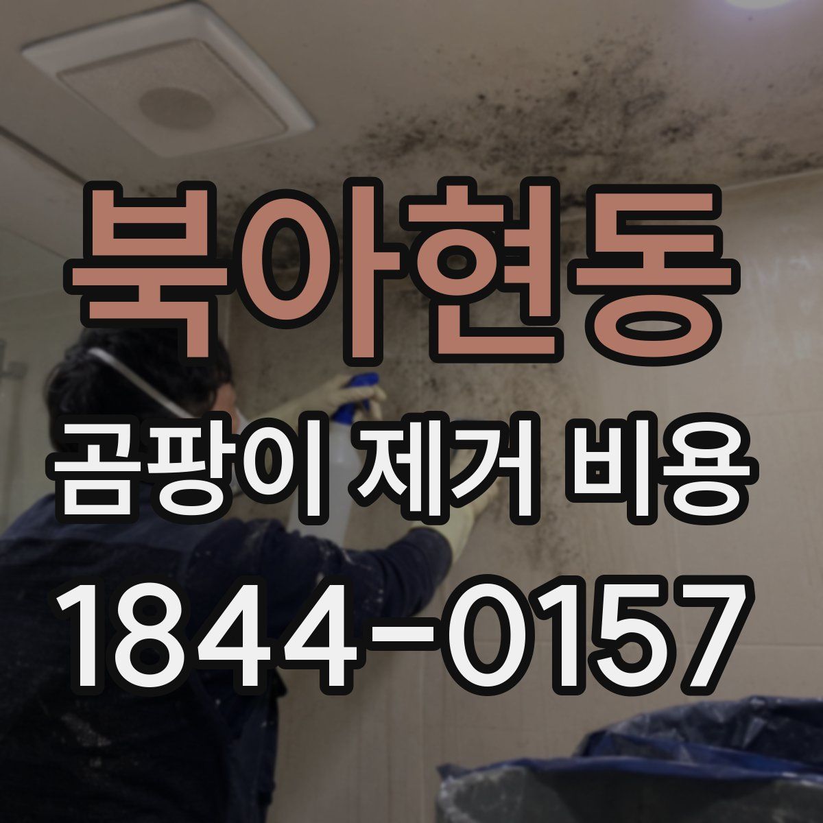 북아현동 곰팡이 제거 비용