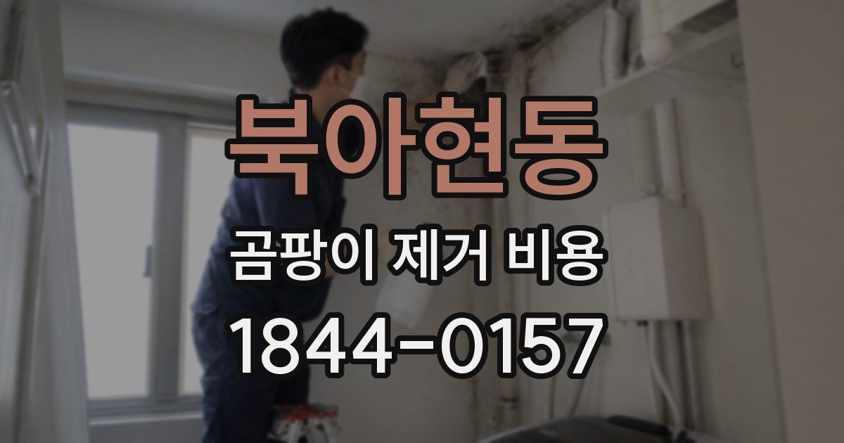 북아현동 곰팡이 제거 비용