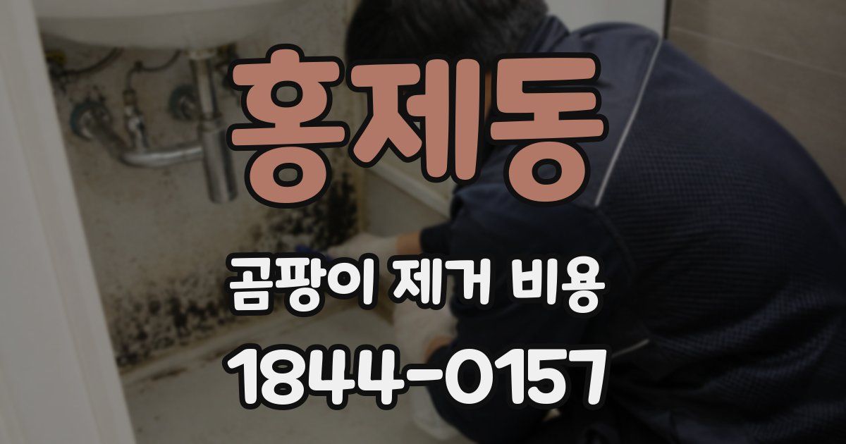 홍제동 곰팡이 제거 비용