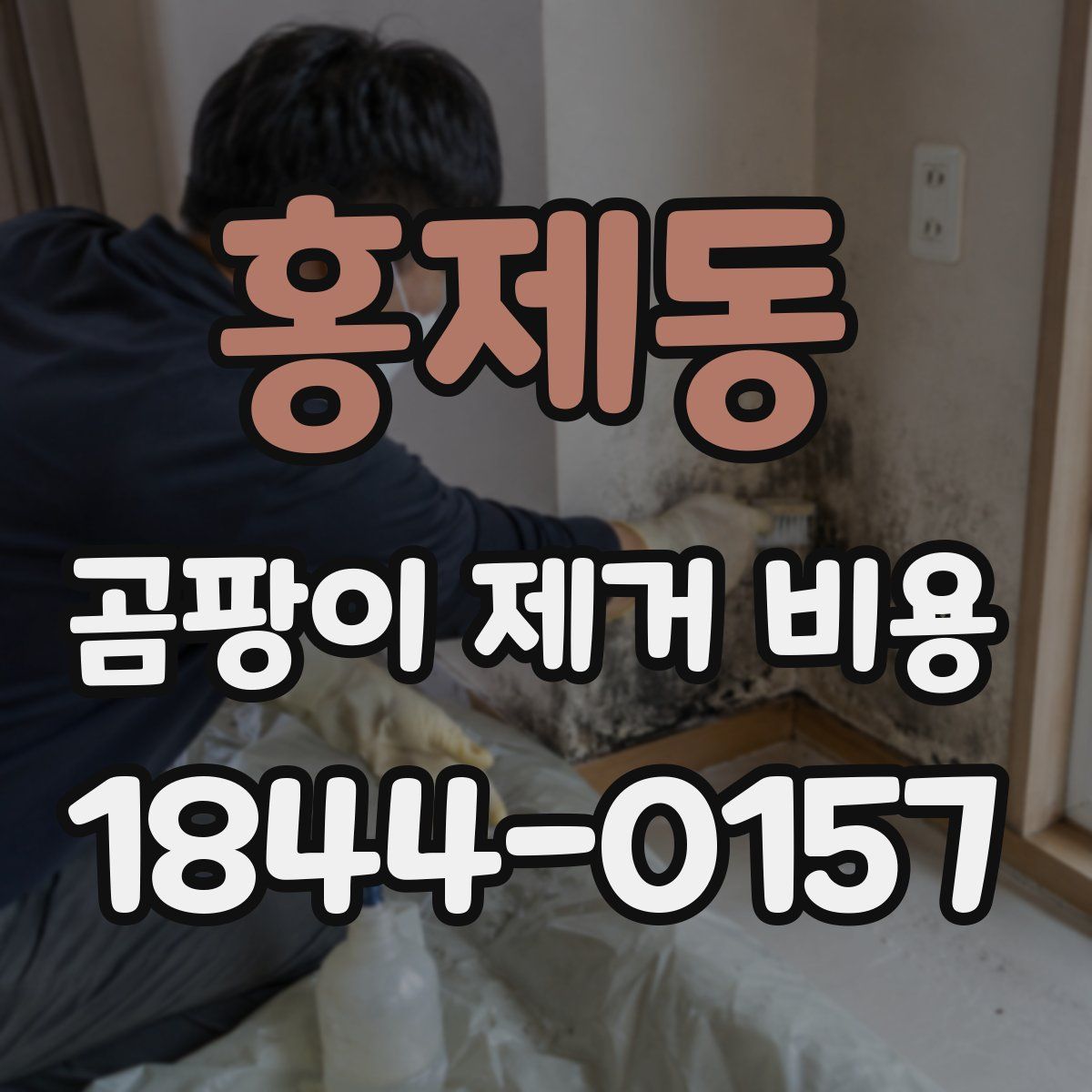 홍제동 곰팡이 제거 비용