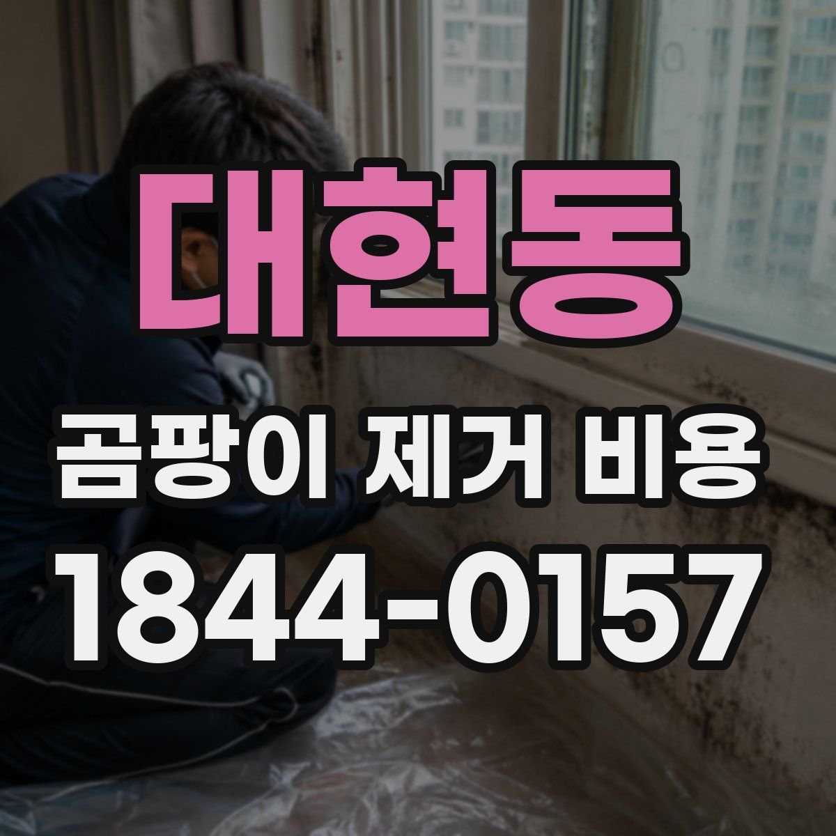 대현동 곰팡이 제거 비용