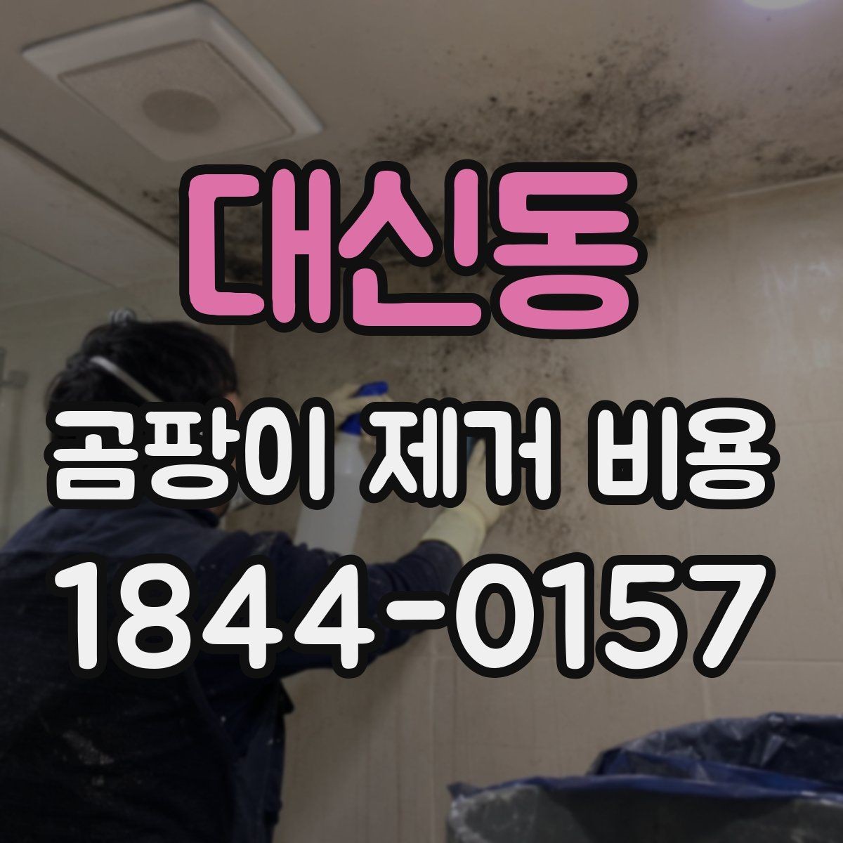 대신동 곰팡이 제거 비용 가구 오염까지 포함되는지 살펴보기