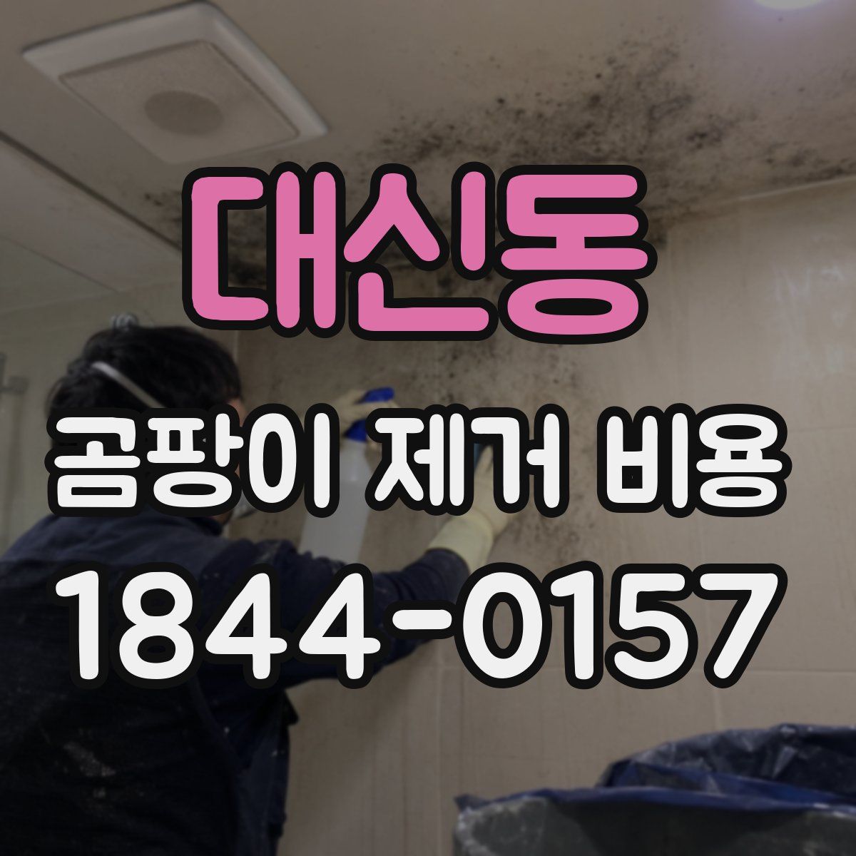 대신동 곰팡이 제거 비용
