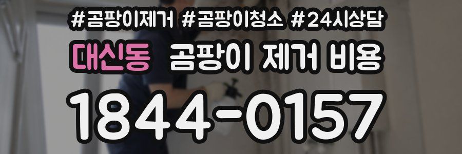 대신동 곰팡이 제거 비용