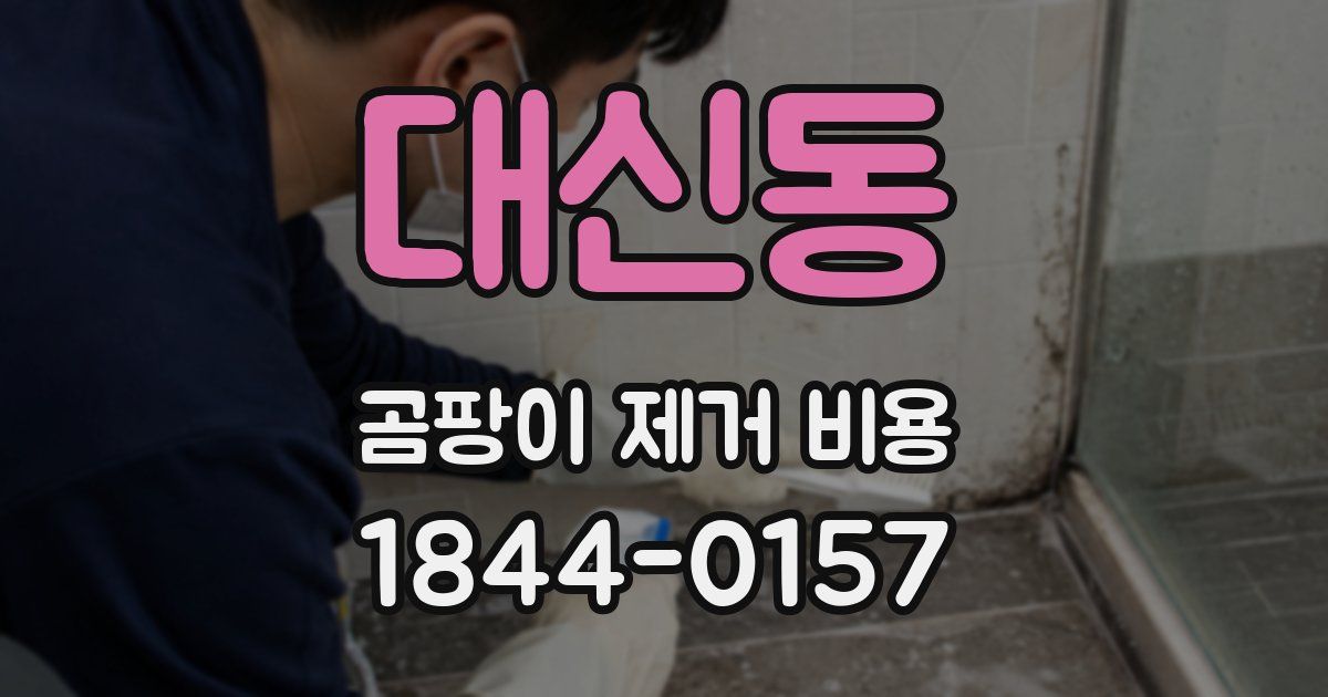 대신동 곰팡이 제거 비용