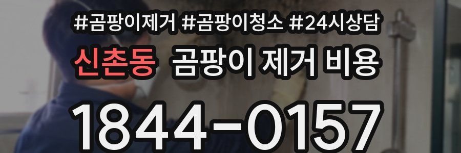신촌동 곰팡이 제거 비용