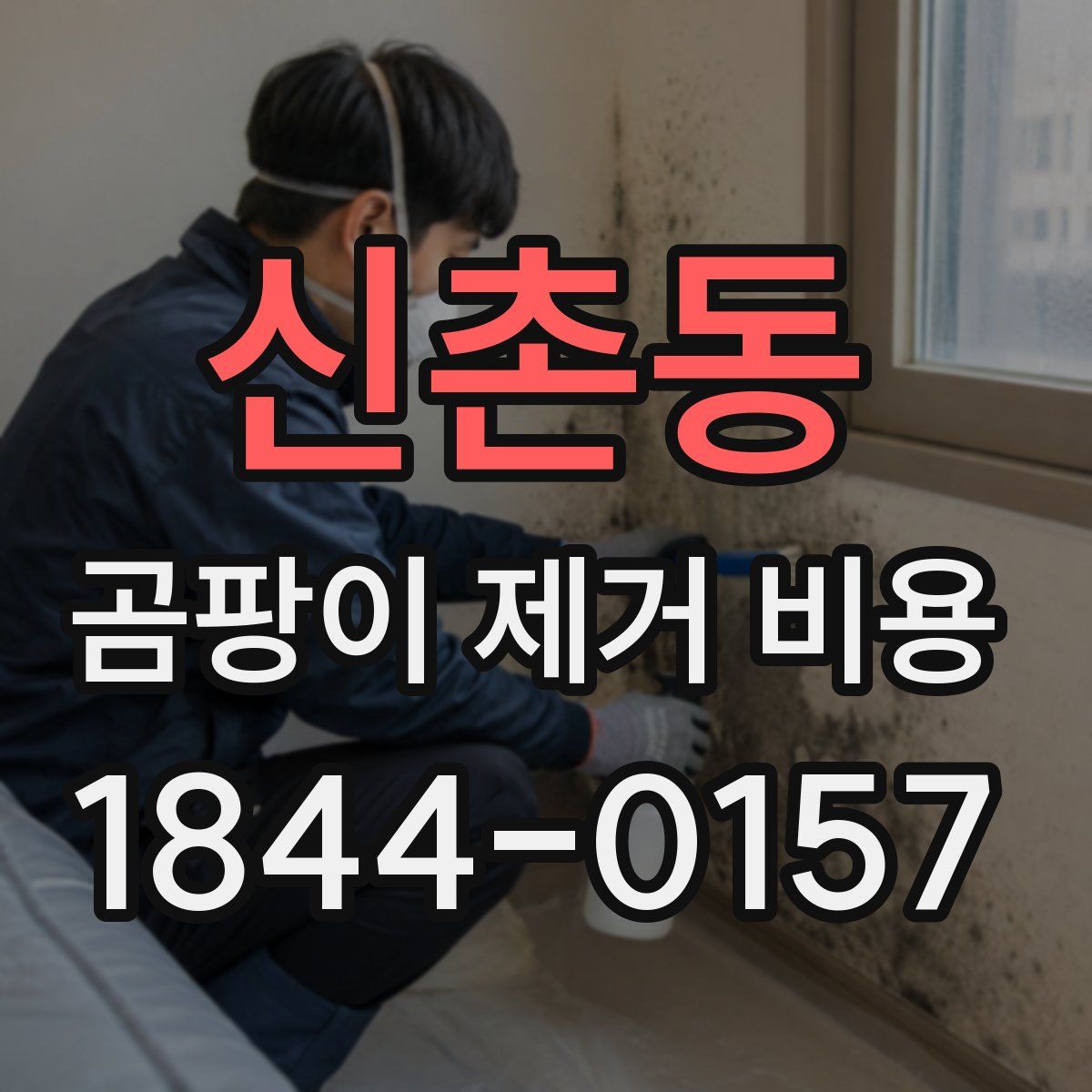 신촌동 곰팡이 제거 비용