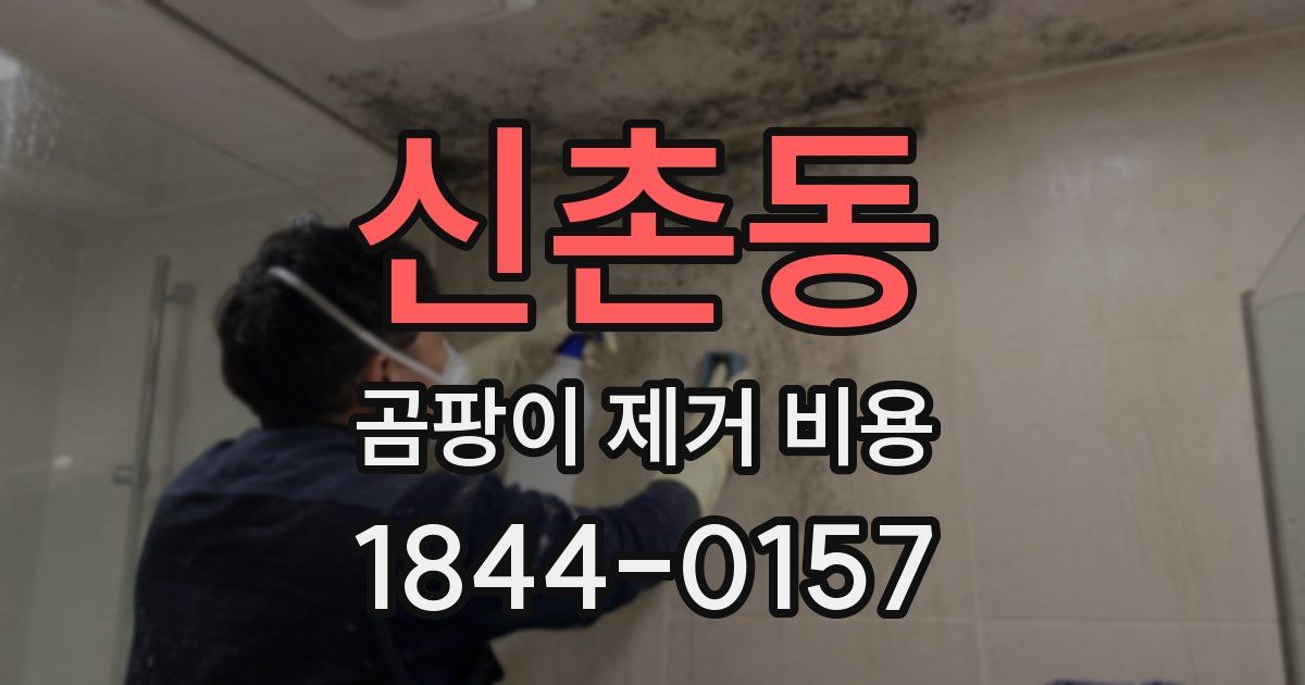 신촌동 곰팡이 제거 비용
