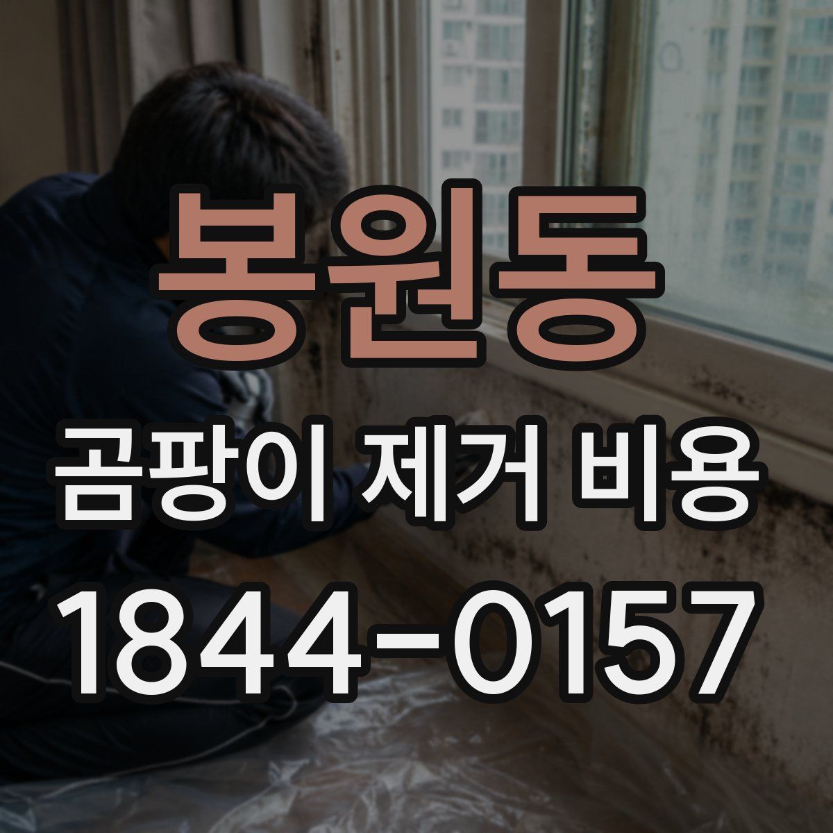 봉원동 곰팡이 제거 비용