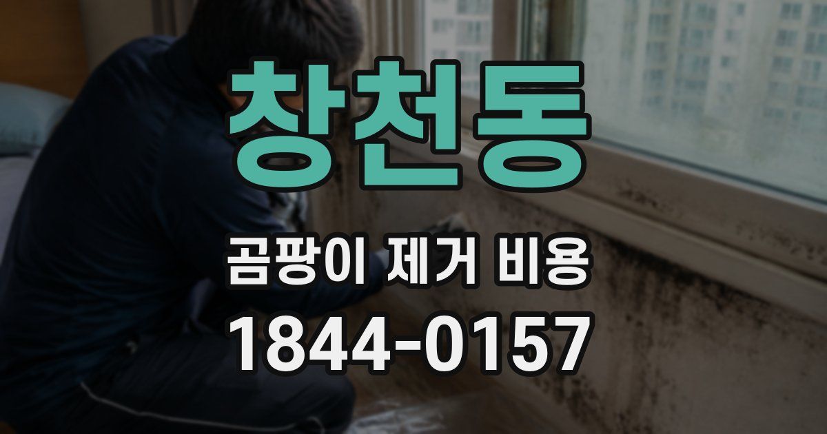 창천동 곰팡이 제거 비용