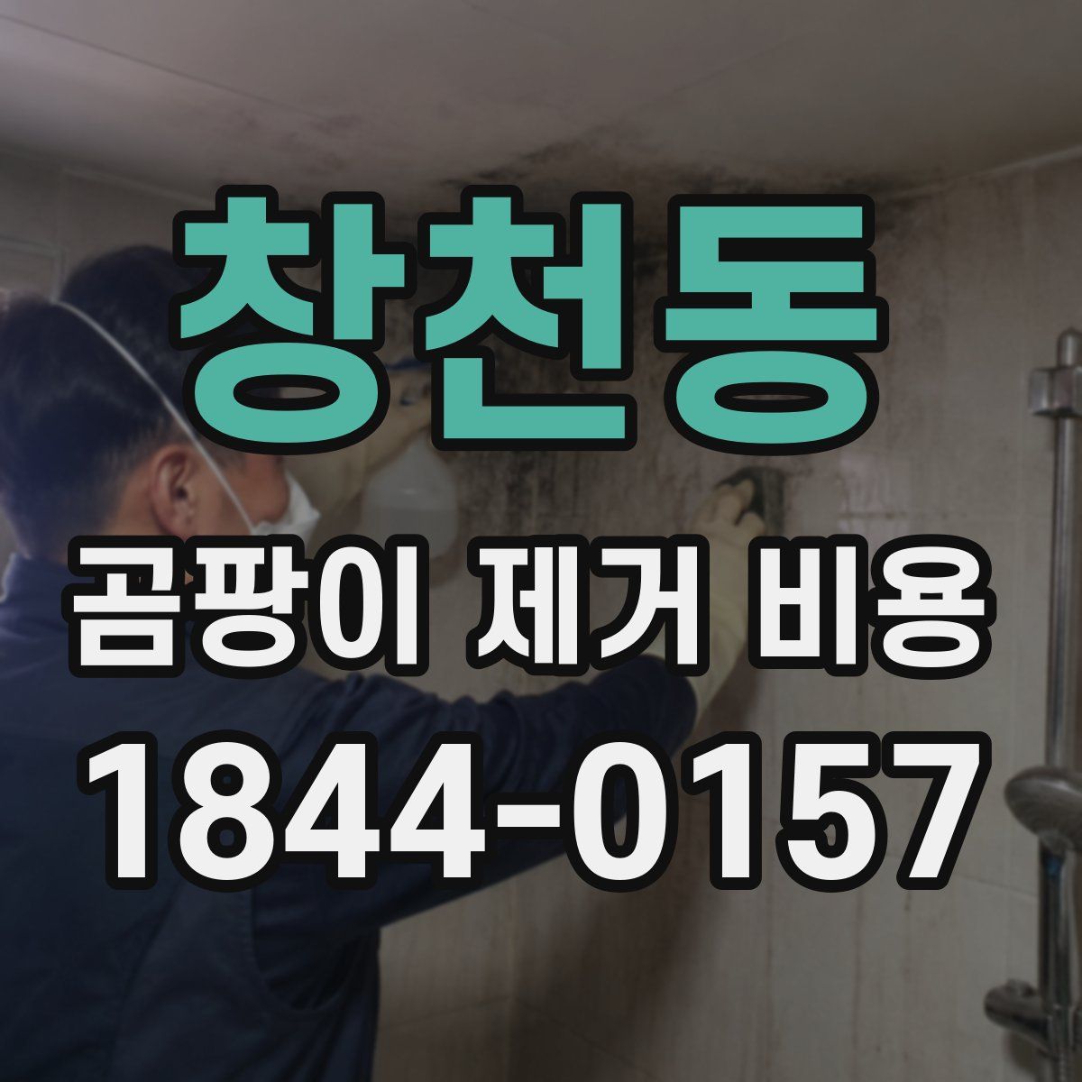 창천동 곰팡이 제거 비용