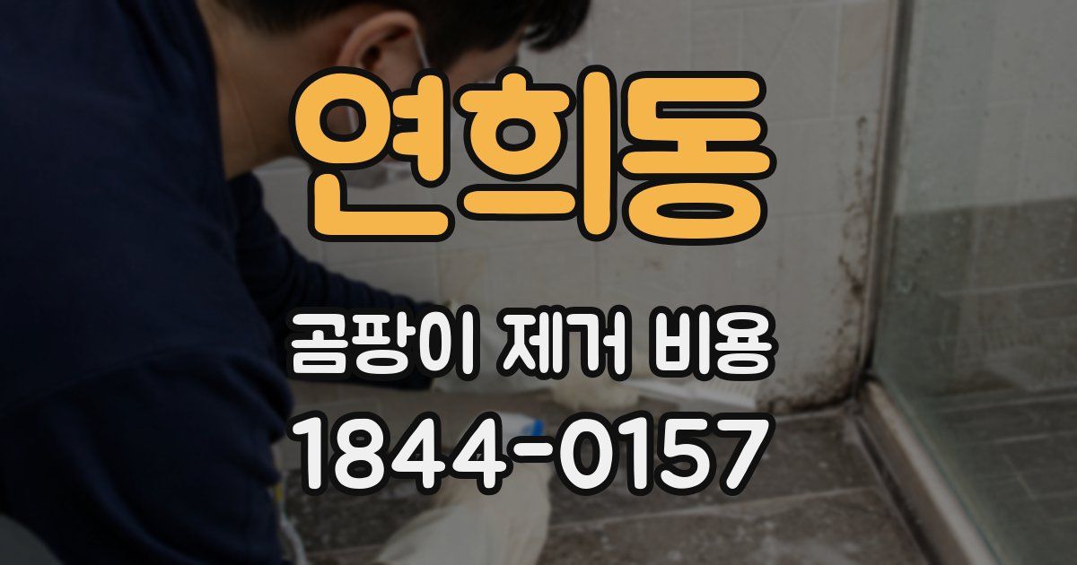 연희동 곰팡이 제거 비용