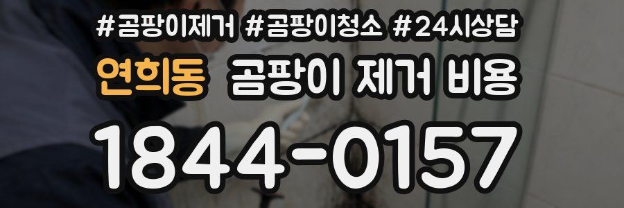 연희동 곰팡이 제거 비용