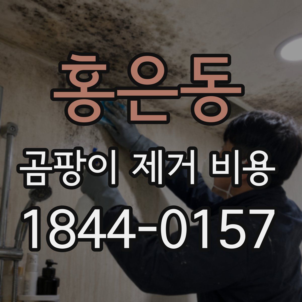 홍은동 곰팡이 제거 비용
