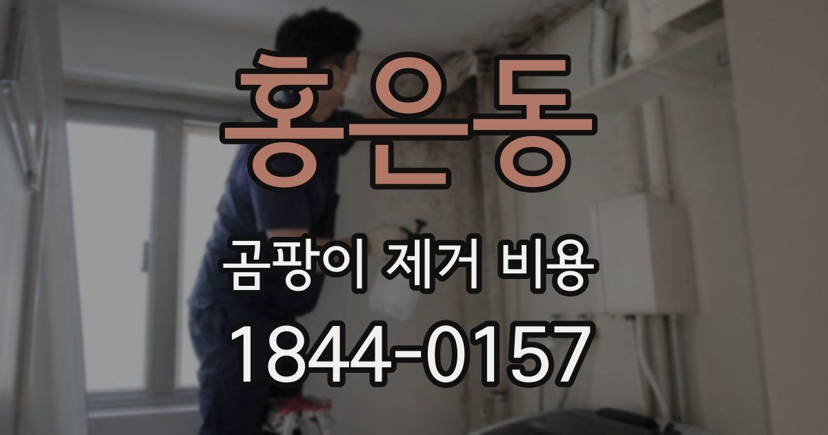 홍은동 곰팡이 제거 비용