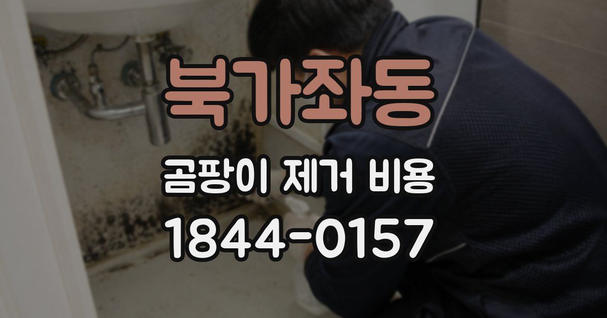 북가좌동 곰팡이 제거 비용