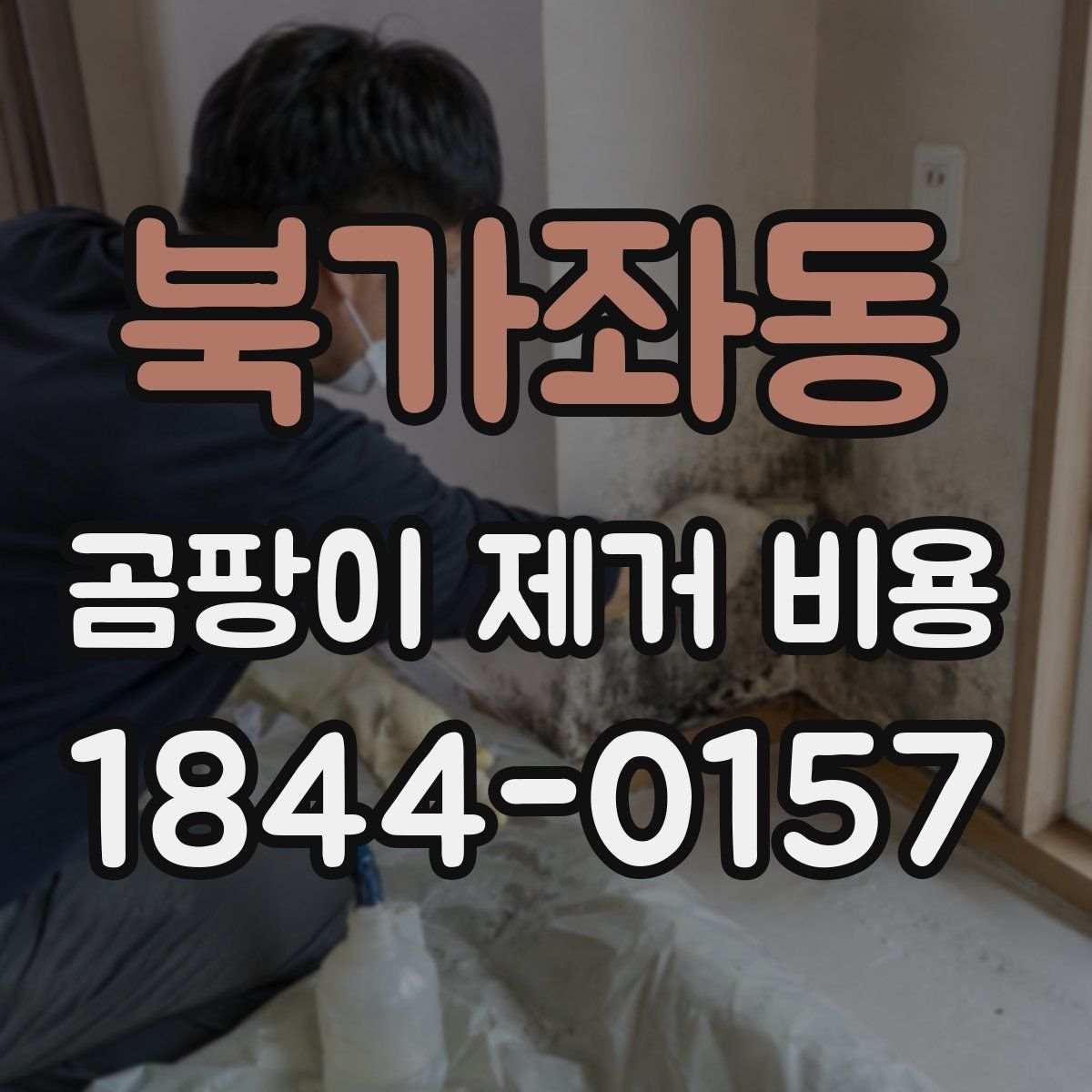 북가좌동 곰팡이 제거 비용