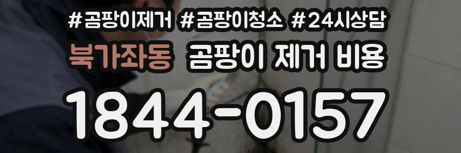 북가좌동 곰팡이 제거 비용