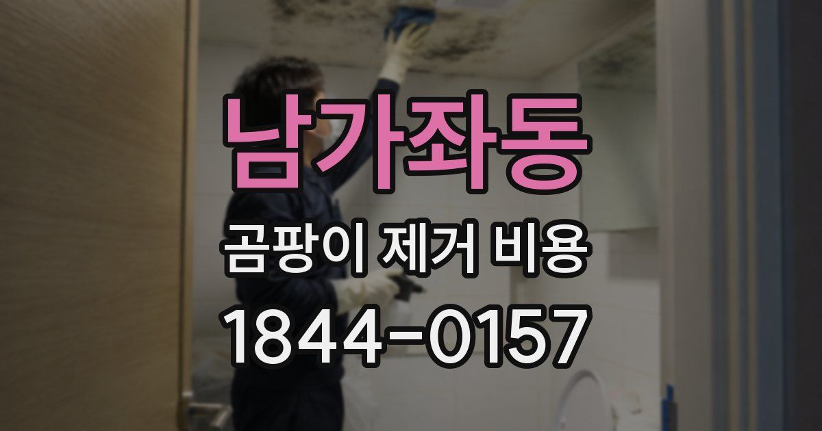 남가좌동 곰팡이 제거 비용