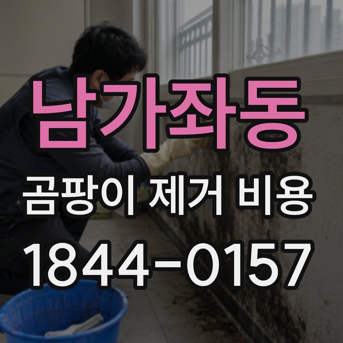 남가좌동 곰팡이 제거 비용